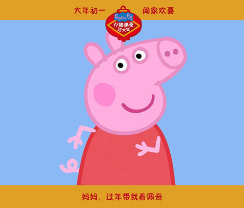 托雷多大学diploma